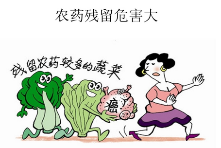 农药残留检测仪：现代农业的“安全卫士”