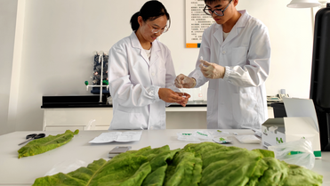 农药残留检测仪器设备：守护食品安全的“隐形卫士”