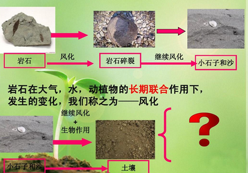 土壤检测仪器操作台标准